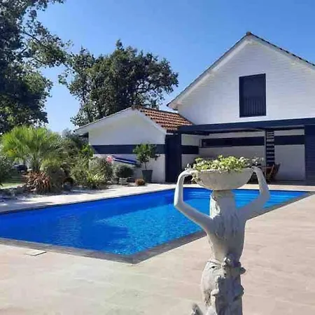 Piscine Et Jacuzzi